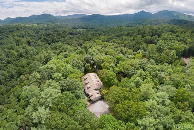 birds eye view of property featuring a mountain view