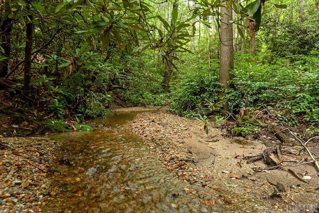 view of local wilderness with a water view