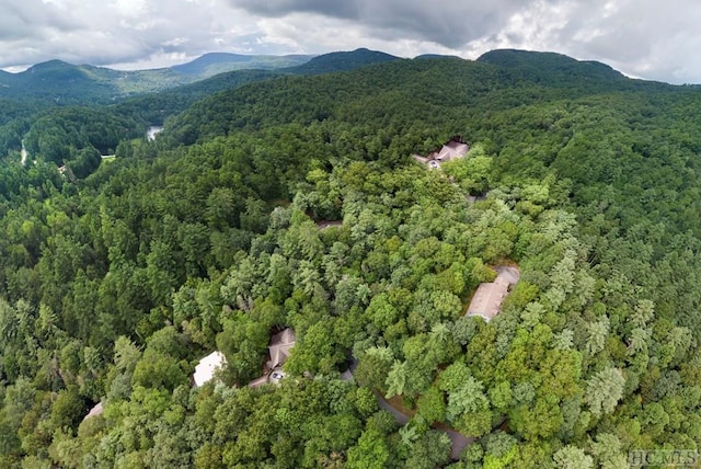 aerial view with a mountain view