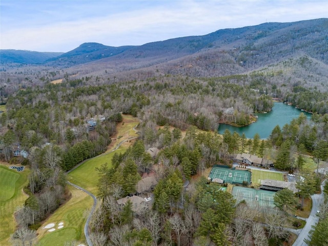 aerial view with a forest view and a water and mountain view