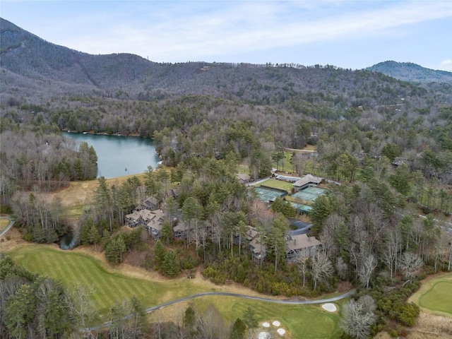 birds eye view of property featuring a view of trees and a water and mountain view