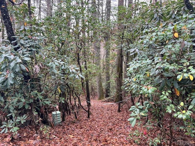 Listing photo 2 for LOT48 White Dogwood Ct, Sapphire NC 28774