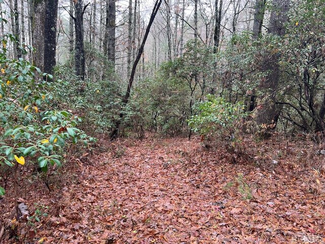 Listing photo 3 for LOT48 White Dogwood Ct, Sapphire NC 28774