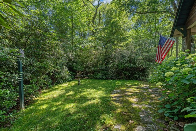 539 Cheney Ln, Highlands, NC 28741 - photo 10