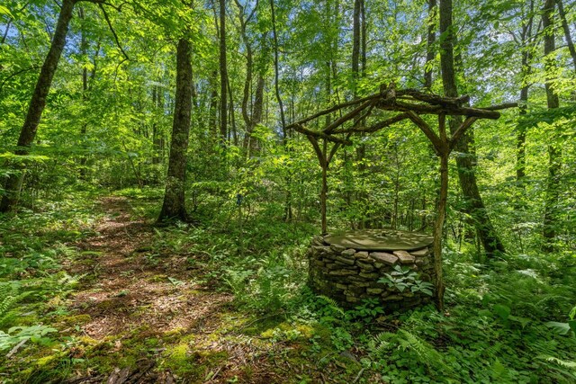 539 Cheney Ln, Highlands, NC 28741 - photo 14