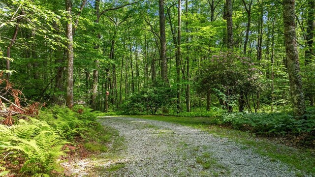 539 Cheney Ln, Highlands, NC 28741 - photo 49