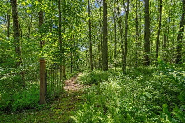 539 Cheney Ln, Highlands, NC 28741 - photo 53