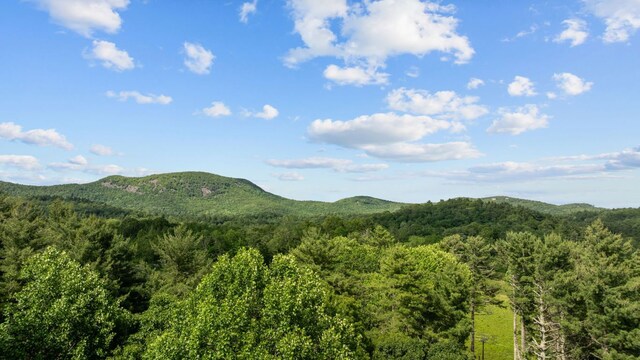 539 Cheney Ln, Highlands, NC 28741 - photo 48