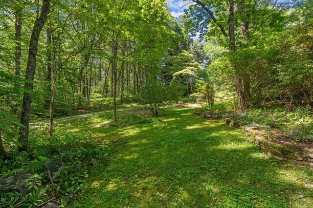 539 Cheney Ln, Highlands, NC 28741 - photo 15