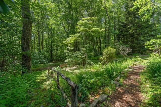 539 Cheney Ln, Highlands, NC 28741 - photo 51
