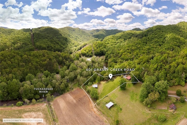 aerial overview of property's location featuring a heavily wooded area and property parcel outlined