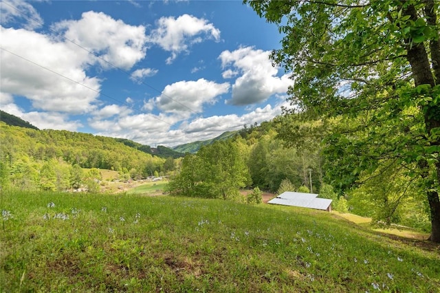 view of yard featuring a wooded view and a mountain view
