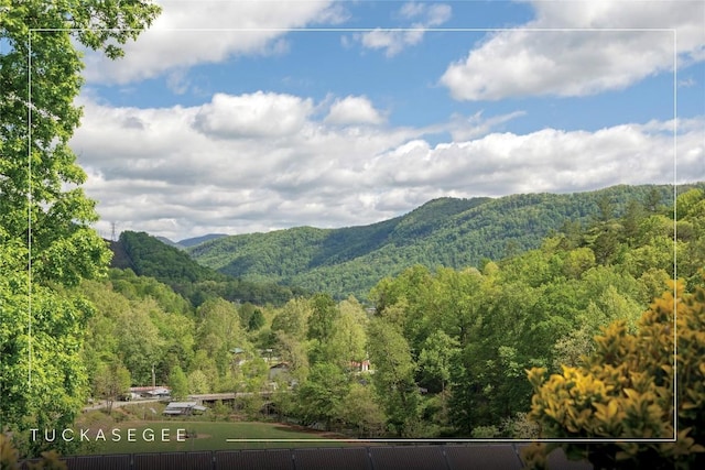 view of mountain background featuring a forest