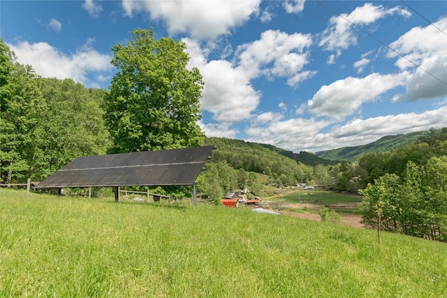 view of yard featuring a forest view and a mountain view