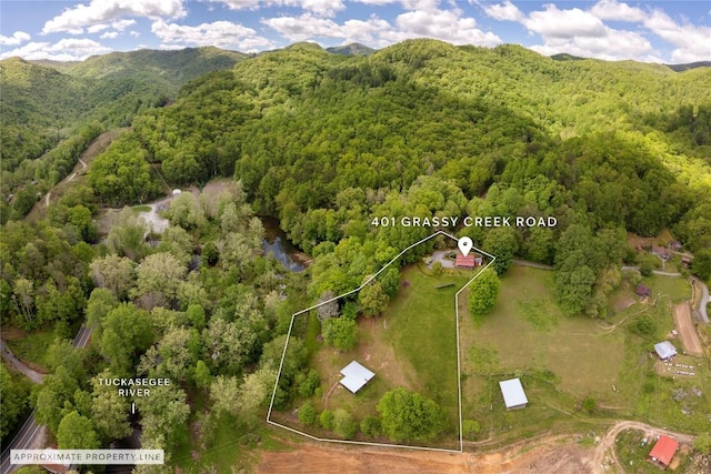 aerial view of property's location featuring a forest and property parcel outlined