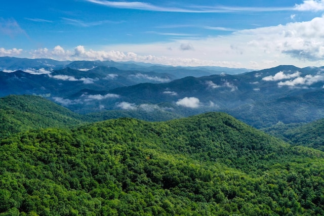 0 E Cliff Rd, Cullowhee, NC 28723