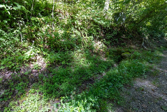 0 E Cliff Rd, Cullowhee, NC 28723