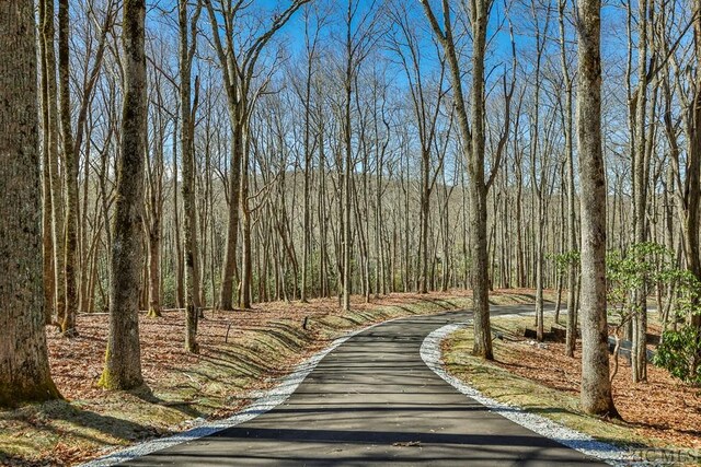 LTFCV2 Flat Creek Dr, Glenville, NC 27836 - photo 4