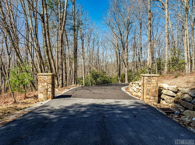 Listing photo 2 for LTFCV2 Flat Creek Dr, Glenville NC 27836