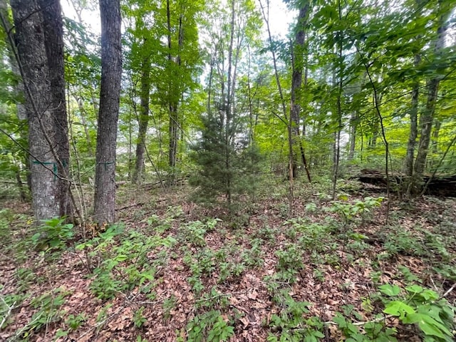 E-32 Greenfield Dr, Cashiers, NC 28717 - photo 4