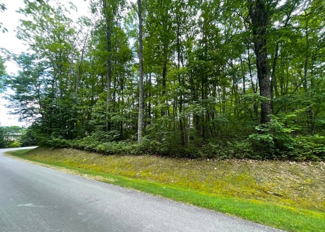 E-32 Greenfield Dr, Cashiers, NC 28717 - photo 7