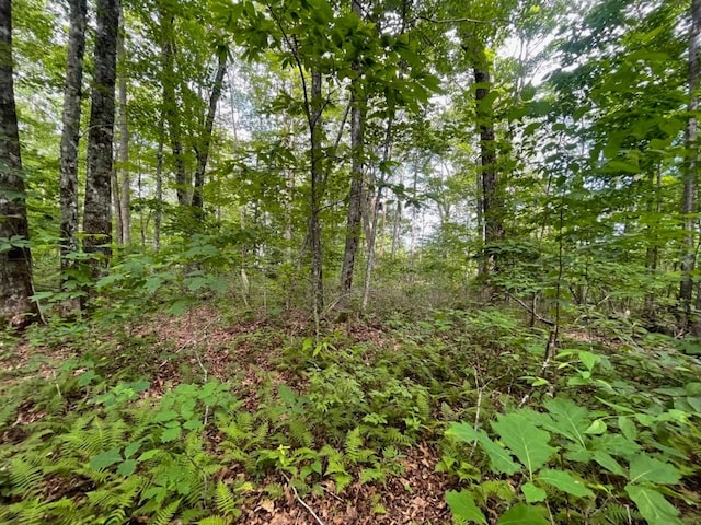 E-32 Greenfield Dr, Cashiers, NC 28717 - photo 3