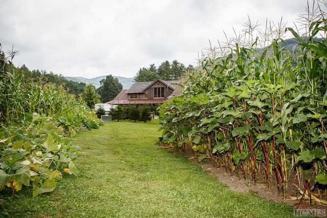 view of yard with a mountain view