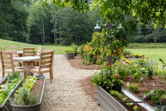 view of yard with a forest view and a vegetable garden