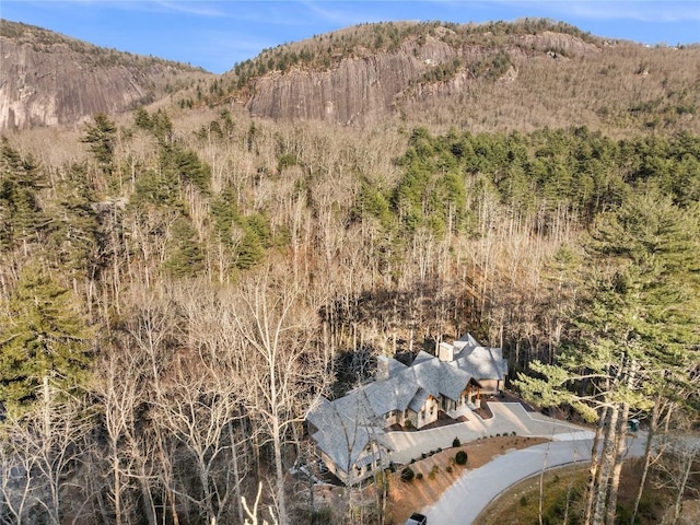 property view of mountains featuring a wooded view