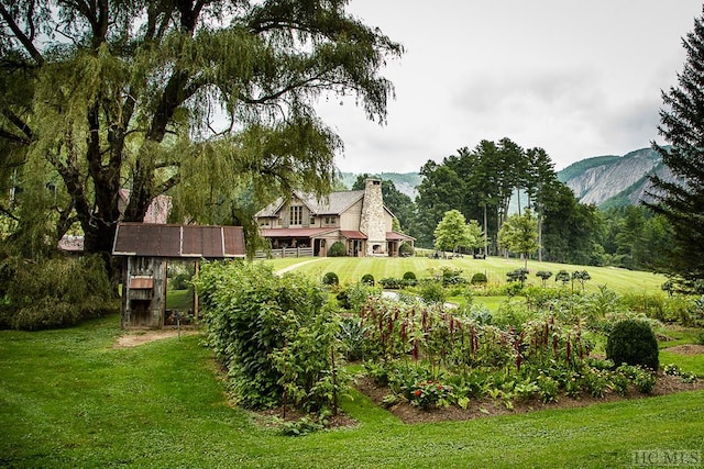 view of yard with a mountain view