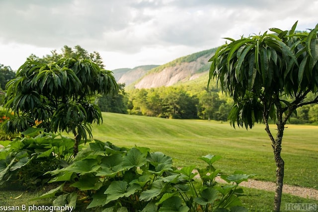 surrounding community featuring a yard and a mountain view