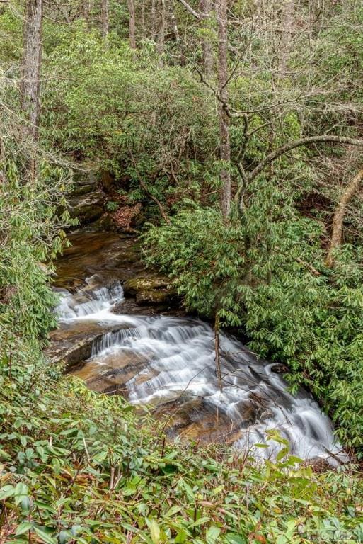 view of local wilderness