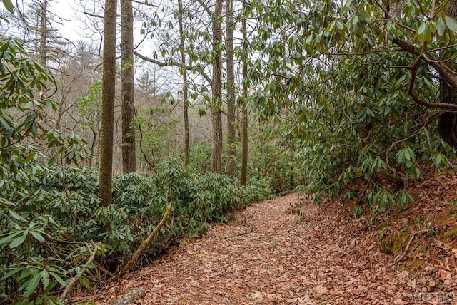 view of local wilderness featuring a wooded view