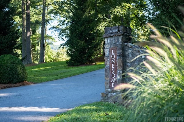 view of home's community featuring driveway and a lawn