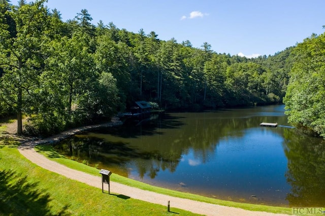 view of water feature with a wooded view