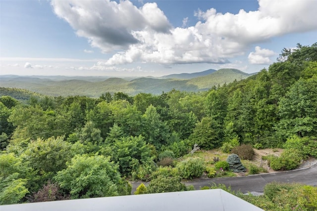 4594 Dillard Rd, Highlands, NC 28741 - photo 13