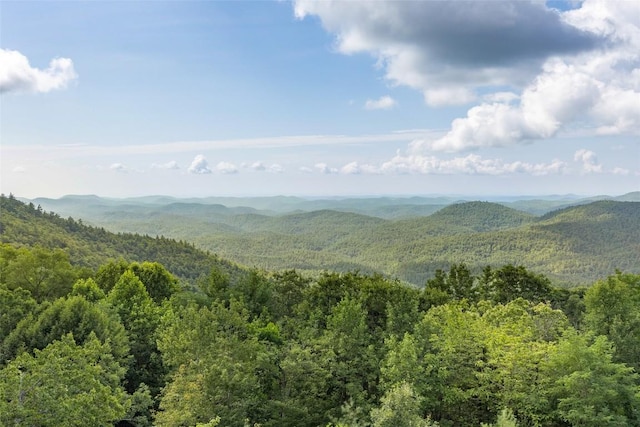 4594 Dillard Rd, Highlands, NC 28741 - photo 15