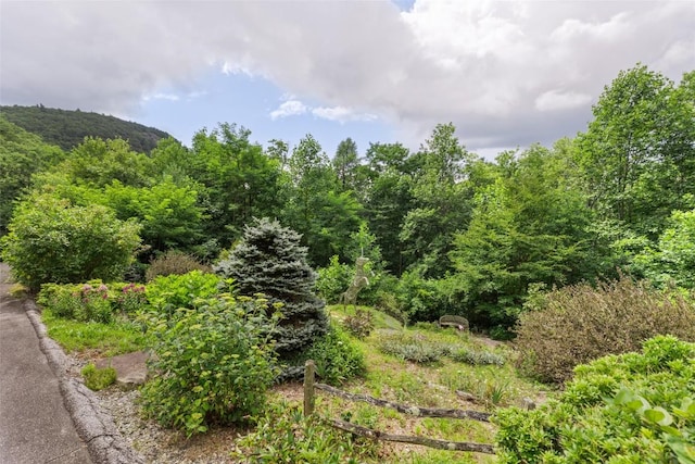 4594 Dillard Rd, Highlands, NC 28741 - photo 44
