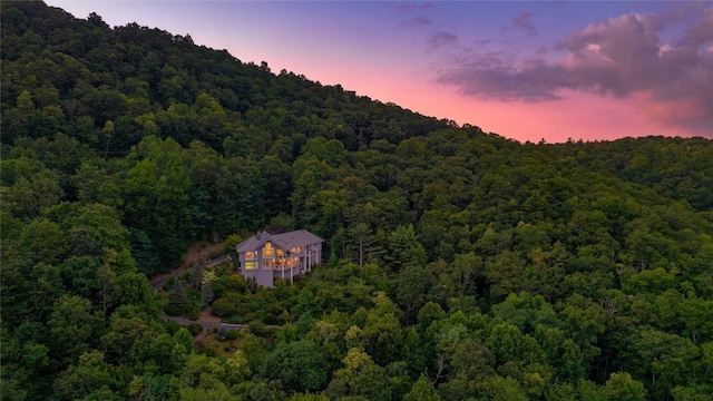 4594 Dillard Rd, Highlands, NC 28741 - photo 59