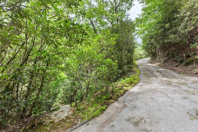 4594 Dillard Rd, Highlands, NC 28741 - photo 46