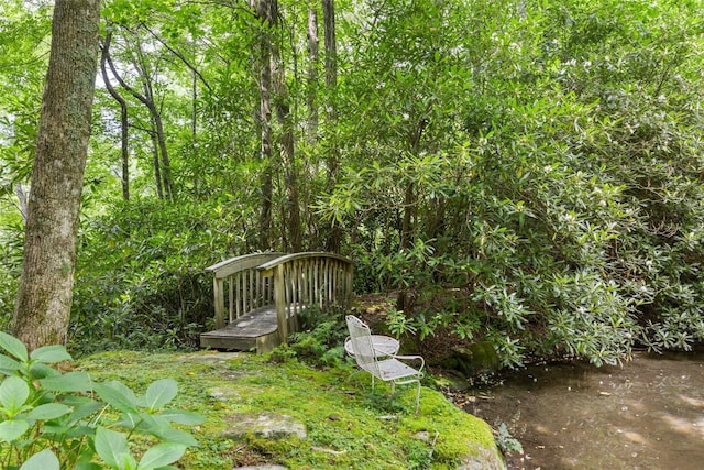 4594 Dillard Rd, Highlands, NC 28741 - photo 50