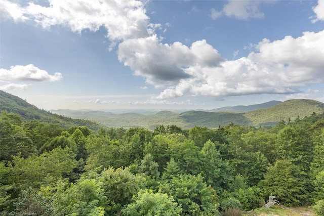 4594 Dillard Rd, Highlands, NC 28741 - photo 14