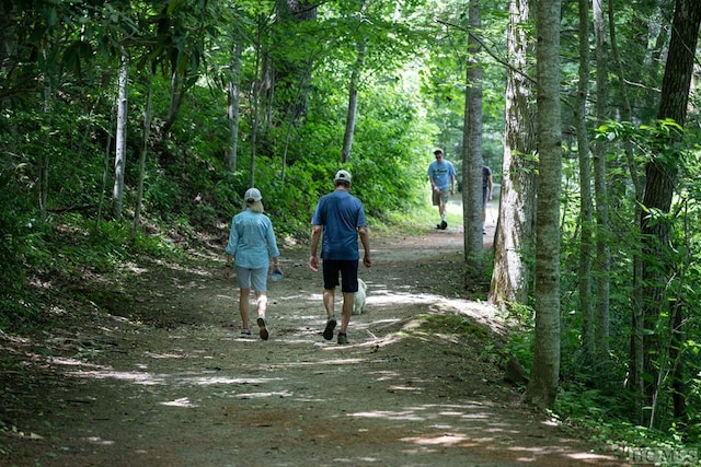 view of home's community