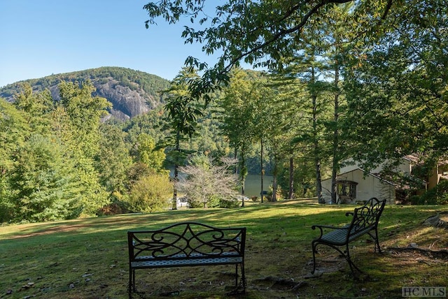 view of yard with a mountain view