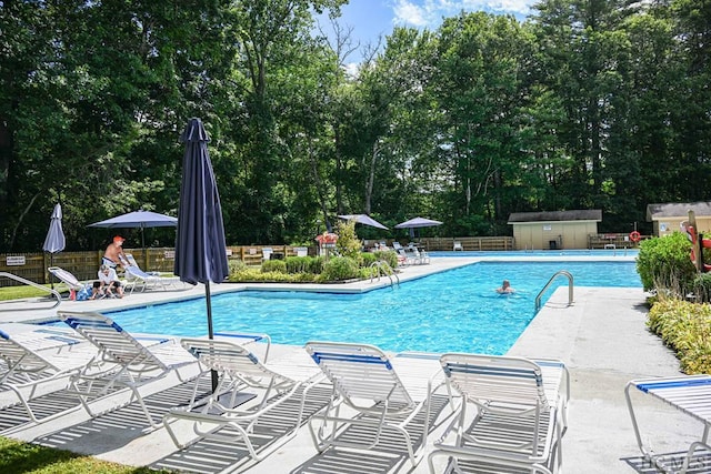 view of swimming pool featuring a patio area and a storage unit