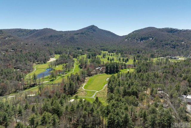 bird's eye view featuring a water and mountain view