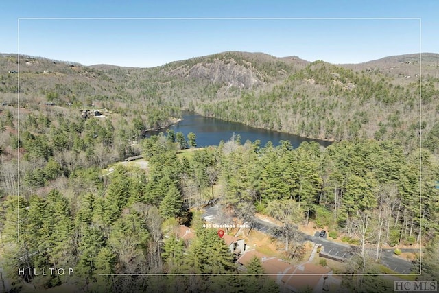 bird's eye view featuring a water and mountain view