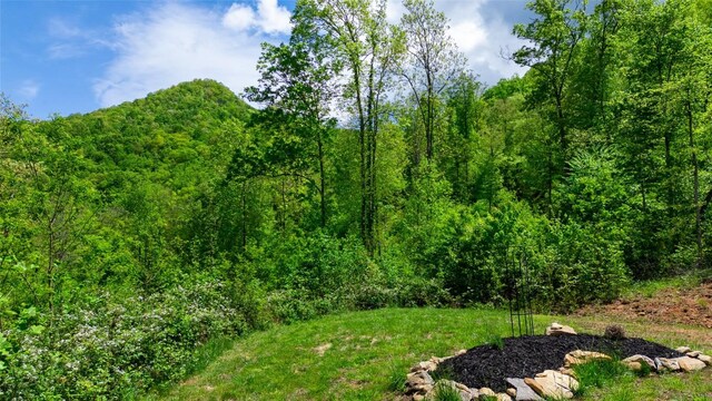 720 Cedar Creek Farm Rd, Tuckasegee, NC 28783 - photo 17
