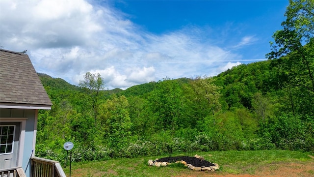 720 Cedar Creek Farm Rd, Tuckasegee, NC 28783 - photo 18