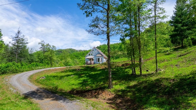 720 Cedar Creek Farm Rd, Tuckasegee, NC 28783 - photo 16